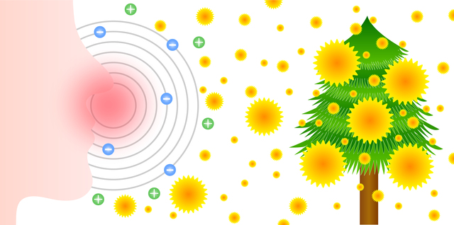 解消法 花粉症を解消する対処方法や対策・原因・特徴について
