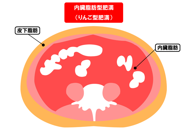 解消法 女性の体脂肪率を減らす為の悩みを解消する対処方法や対策・原因・特徴について