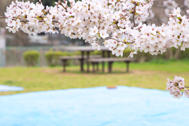 町内会花見のまんねりを解消する対処方法や対策・原因・特徴について